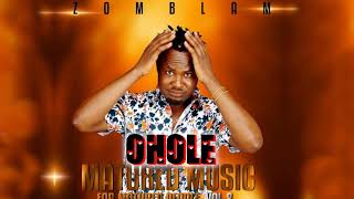 Zomblam  Ohole 2021 album [upl. by Divadnhoj]