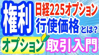 日経225オプションの権利行使価格とは [upl. by Amekahs]