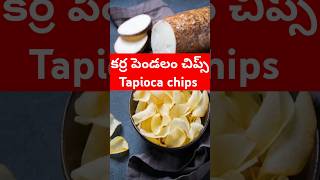 పిల్లలకి పెద్దలకి నచ్చే Evening SnacksOne Month Storable Snack RecipeTapioca Chips chips tapioca [upl. by Haroved]