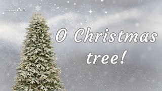 O Christmas Tree Song with Full Lyrics  Christmas Carol amp Song Christmas  Christmas Songs 2024 [upl. by Devinne]