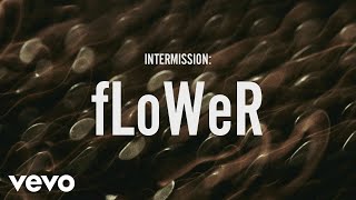 ZAYN  INTERMISSION fLoWer Lyric Video [upl. by Rehtse]