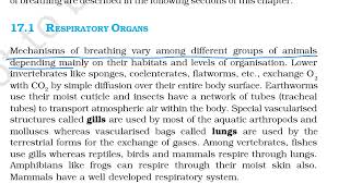 Part 1  Breathing and Exchange of gases Human physiology CH17  NCERT class 11 Biology [upl. by Nommad]