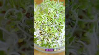 Top Foods Rich In Sulforaphane A Musttry List [upl. by Felipa]