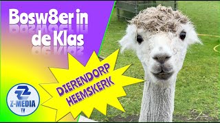 Bosw8er in de Klas bij kinderboerderij Dierendorp Heemskerk afl 39 4k [upl. by Bagley281]