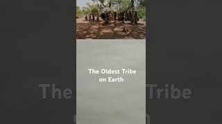 The Oldest Tribe On Earth africa culture history San bushmen [upl. by Desi]