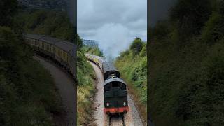 Steam locomotive hard at work [upl. by Ammann]