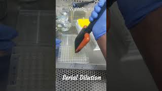 Broth dilution serial dilution microbiology genomics [upl. by Anikehs]