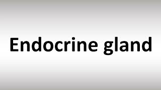 How to Pronounce Endocrine Gland [upl. by Wetzell]