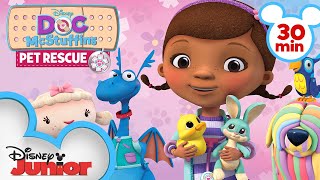 Pet Rescue  30 Minute Compilation  Doc McStuffins  disneyjr [upl. by Felice]