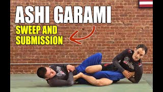 Ashi Garami Sweep and Achilles Lock No Gi BJJ [upl. by Atinomar]