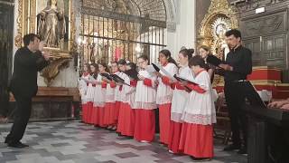 Stabat Mater  KODÁLY  Escolanía de Sevilla [upl. by Nahoj]