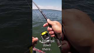 How To Fish A Dropshot Rig To Catch More Bass [upl. by Skinner]