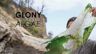 Project GLONY An Accessible Way to Make Algae Bioplastic at Home amp Biodesign for the Baltic Sea [upl. by Ehcsrop]