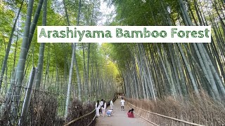 Kyoto Arashiyama Bamboo Forest Walk Japan 嵐山バンブーフォレスト [upl. by Lona164]