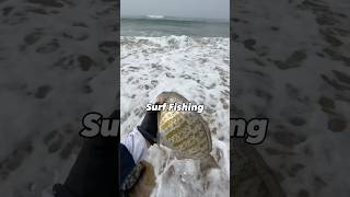 Monster surfperch caught with Lucky Craft lure surfperch [upl. by Humfrey]