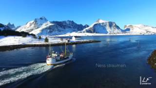 Winter time in Lofoten Islands 2017 [upl. by Hsirrehc]