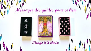 🖌️Messages des guides pour votre lien🖊️  Tirage à 3 choix 🕊️💫🌻 [upl. by Aehtela]