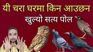 यी चरा घरमा किन आउछनजानौ रहस्यshreeguru [upl. by Ovida]