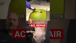 ACL Repair 🥭 Tendon Extraction shorts [upl. by Bertrand524]