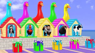 5 Giant Duck Cartoon Cow Elephant Gorilla Tiger TRex Lion Transfiguration funny animals [upl. by Yneffit]