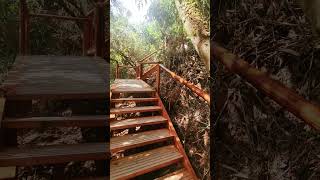 Stairs at Machu Picchu [upl. by Ahl653]