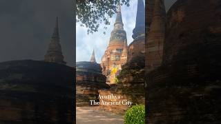 Ayutthaya City  The ancient city thaitown bangkok ayutthaya ancientcity thailand travel [upl. by Anul]