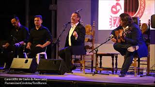 Caracolillo de Cádiz 43º Partía Flamenca de Benamejí Córdoba [upl. by Shep]