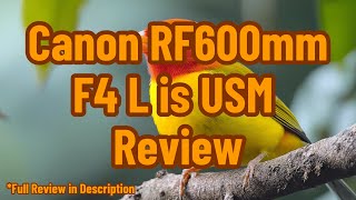 Canon RF600mm F4 L is USM Review [upl. by Bills]