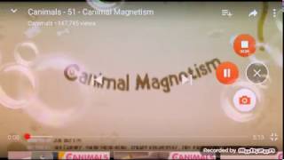 Canimals season 1 episode 51 Canimal mangettism [upl. by Africah941]