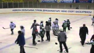 Best kids under 10 mass hockey fight [upl. by Atsylak]