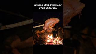 Hunting and cooking pheasant over the campfire [upl. by Yonah]