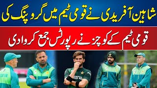 Shaheen Afridi Is The Main Culprit In Pak Team  Pak Coaches Disclosed The Reports  24 News HD [upl. by Er538]