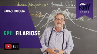 Filariose Parasitologia  EP 11  Biokrill Series [upl. by Jos]