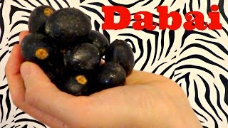 Dabai Review Canarium odontophyllum Weird Fruit Explorer Ep 135 [upl. by Anivlac]