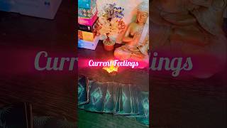 Current Feelings of your Partner tarot tarotreading shortsfeed viralvideo twinflame nocontact [upl. by Kapoor]