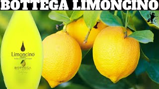 Bottega Limoncino Liqueur Review [upl. by Lister]