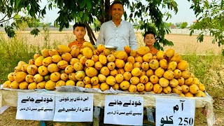 Shops with NO Shopkeepers In Pakistan  Have seen this [upl. by Ecaidnac]