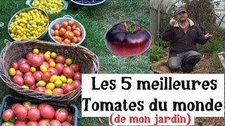 Les 5 Meilleures Tomates du Monde de mon jardin [upl. by Auberon713]