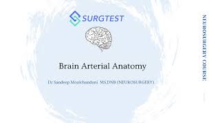 Brain arterial anatomy  Neurosurgery for INISS and FRCS videos  Dr Sandeep Moolchandani [upl. by Josey]