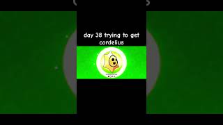 day 48 trying to get cordelius from daily star drops brawlstars stardrop viralshort fyp [upl. by Alane]