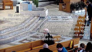 Church of the Annunciation Live Stream [upl. by Sidonia415]