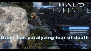 Halo Infinite Grunt has a paralyzing fear of death [upl. by Tymon739]