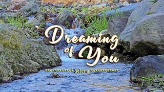 DREAMING OF YOU  Karaoke Version  in the style of Selena [upl. by Eux]