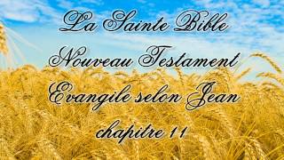 Evangile selon Jean  Chapitre 11 [upl. by Lienad395]