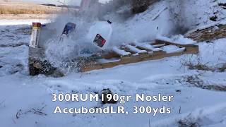 300RUM Nosler Accubond LR190gr Terminal ballistic test 300 yds [upl. by Asimaj]