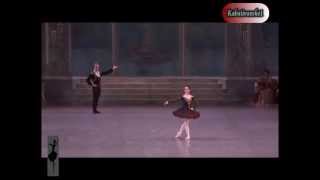 Don Quijote PD Tamara Rojo Steven McRae [upl. by Samira]