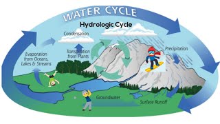 The water hydrologic cycle [upl. by Fredi]