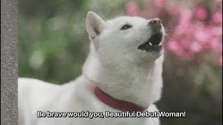 White Family SoftBank Dog CM 364 quotBeautiful Debut Womanquot Japanese Commercial ENG SUB [upl. by Jovi]