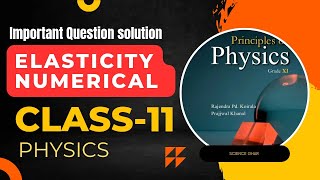 🔴 Elasticity  Numerical  Class11 Physics  Important Question [upl. by Henn]