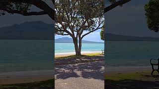 Devonport Auckland New Zealand 🇳🇿 😍 newzealand youtubeshorts [upl. by Eecyak339]